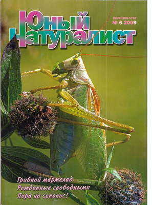 Юный натуралист 2009 №06