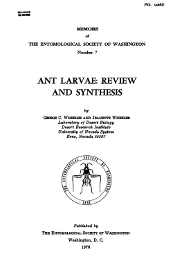 Wheeler G.C., Wheeler J. Ant larvae: review and synthesis