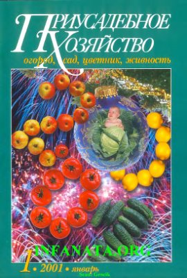 Приусадебное хозяйство 2001 №01