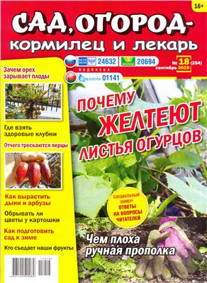 Сад, огород - кормилец и лекарь 2015 №18 (254)