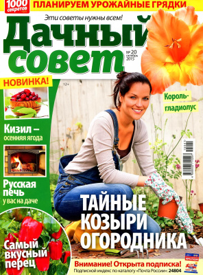 Дачный совет 2015 №20