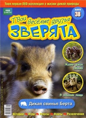 Твои веселые друзья, зверята 2010 №38. Дикая свинья Берта. Видеоприложение