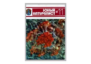 Юный натуралист 1979 №11 (Артек)