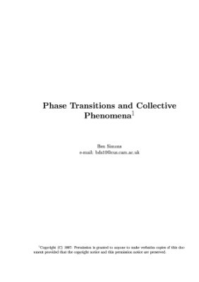 Simons B. Phase Transitions and Collective Phenomena