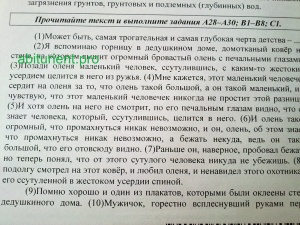 Реальный вариант досрочного ЕГЭ 2011 по русскому языку. Задания А28-В7 и текст для С1