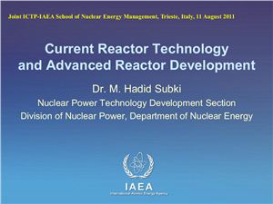 Hadid Subki M. Current Reactor Technology and Advanced Reactor Development