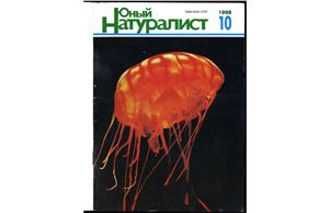 Юный натуралист 1998 №10