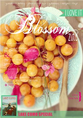 Blossom zine 2014 Edition №05 Summer