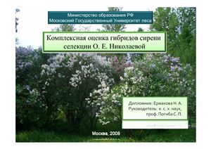 Комплексная оценка гибридов сирени селекции О.Е.Николаевой