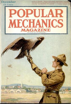 Popular Mechanics 1917 №12