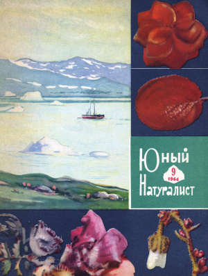 Юный натуралист 1966 №09