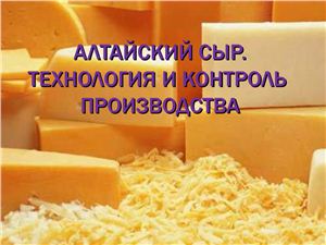 Алтайский сыр. Технология и контроль производства