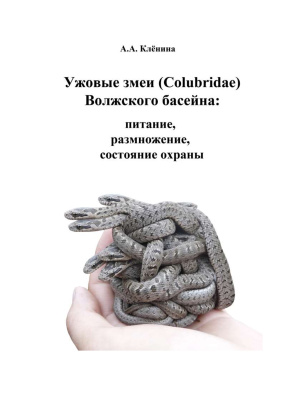 Клёнина А.А. Ужовые змеи (Colubridae) Волжского бассейна: питание, размножение, состояние охраны