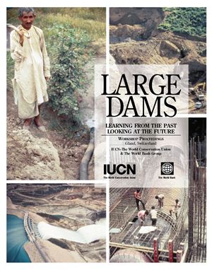 Tony Dorcey - Large dam