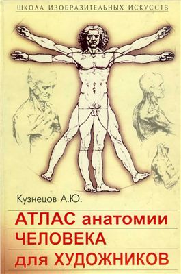 Кузнецов А.Ю. Атлас анатомии человека для художников
