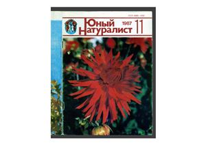 Юный натуралист 1987 №11