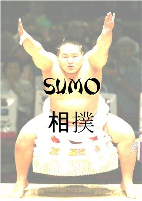 Chaton Denis. Sumo. Compilation finale de textes parus dans le magazine Sumo Fan Magazine