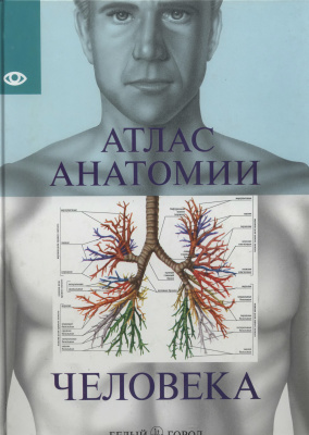 Надольская Н.В. (Ред.) Атлас анатомии человека