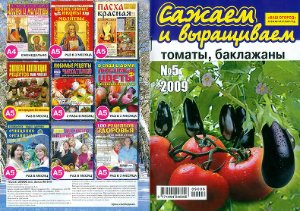 Сажаем и выращиваем томаты, баклажаны 2009 №05