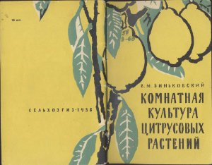 Зиньковский В.М. Комнатная культура цитрусовых растений