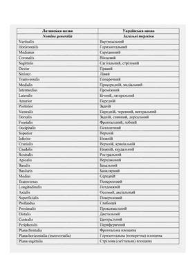 Таблица - Основні анатомічні терміни+нервова система
