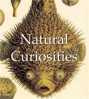 Wallace A.R. Natural curiosities