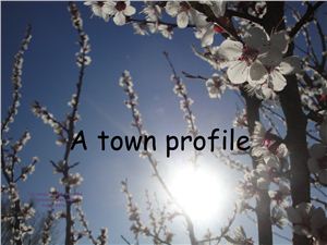 The town profile