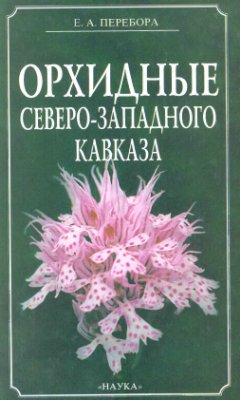 Перебора Е.А. Орхидные Северо-Западного Кавказа