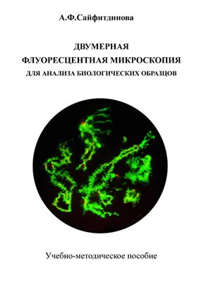 Сайфитдинова А.Ф. Двумерная флуоресцентная микроскопия для анализа биологических образцов