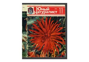 Юный натуралист 1985 №11