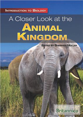 Hollar S. (editor) A Closer Look at the Animal Kingdom