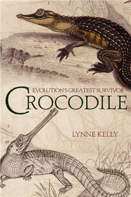 Kelly L. Crocodile: Evolution's Greatest Survivor