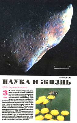 Наука и жизнь 1995 №03