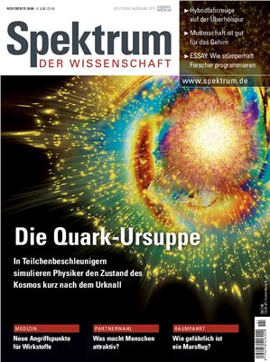 Spektrum der Wissenschaft 2006 №11