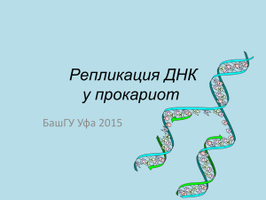 Репликация ДНК у прокариот