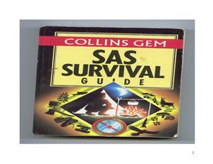 Wiseman J. SAS Survival Guide
