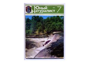 Юный натуралист 1981 №07