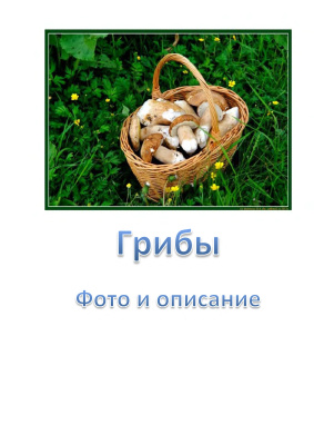 Фото и описание грибов