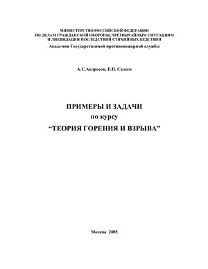 Андросов А.С., Салеев Е.П. Примеры и задачи по курсу Теория горения и взрыва