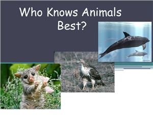 Who knows animals best