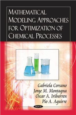 Corsano G., Montagna J.M., Iribarren O.A., Aguirre P.A. Mathematical Modeling Approaches for Optimization of Chemical Processes