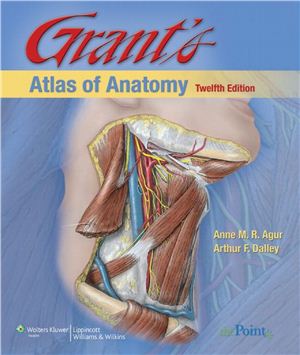 Agur Anne M.R., Dalley Arthur F. Grant's Atlas of Anatomy