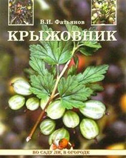 Фатьянов В.И. Крыжовник