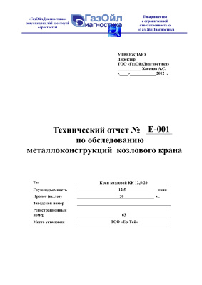 Кабдыжанов Р.А. Технический отчет по обследованию козлового крана