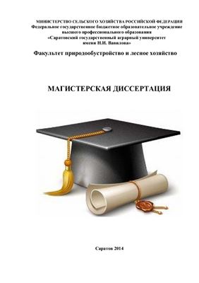 Русинов А.В. и др. (сост.) Магистерская диссертация