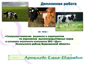 Особенности кормления высокопродуктивных коров и мероприятия по совершенствованию рационов в условиях молочного комплекса
