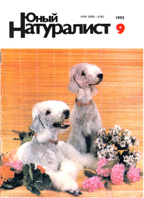 Юный натуралист 1993 №09