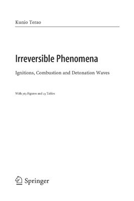Terao K. Irreversible Phenomena: Ignitions, Combustion and Detonation Waves