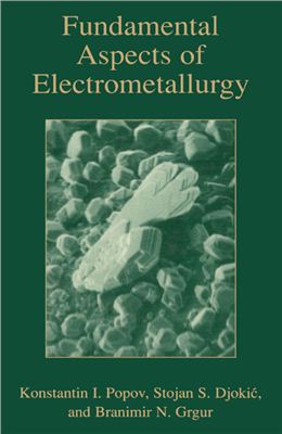 Popov K.I., Djokic S.S., Grgur B.N. Fundamental Aspects of Electrometallurgy