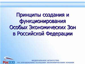 Принципы создания и функционирования особых экономических зон в Российской Федерации